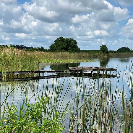 The Scandinavian Contemporary Blauw Lake Alfred エクステリア 写真