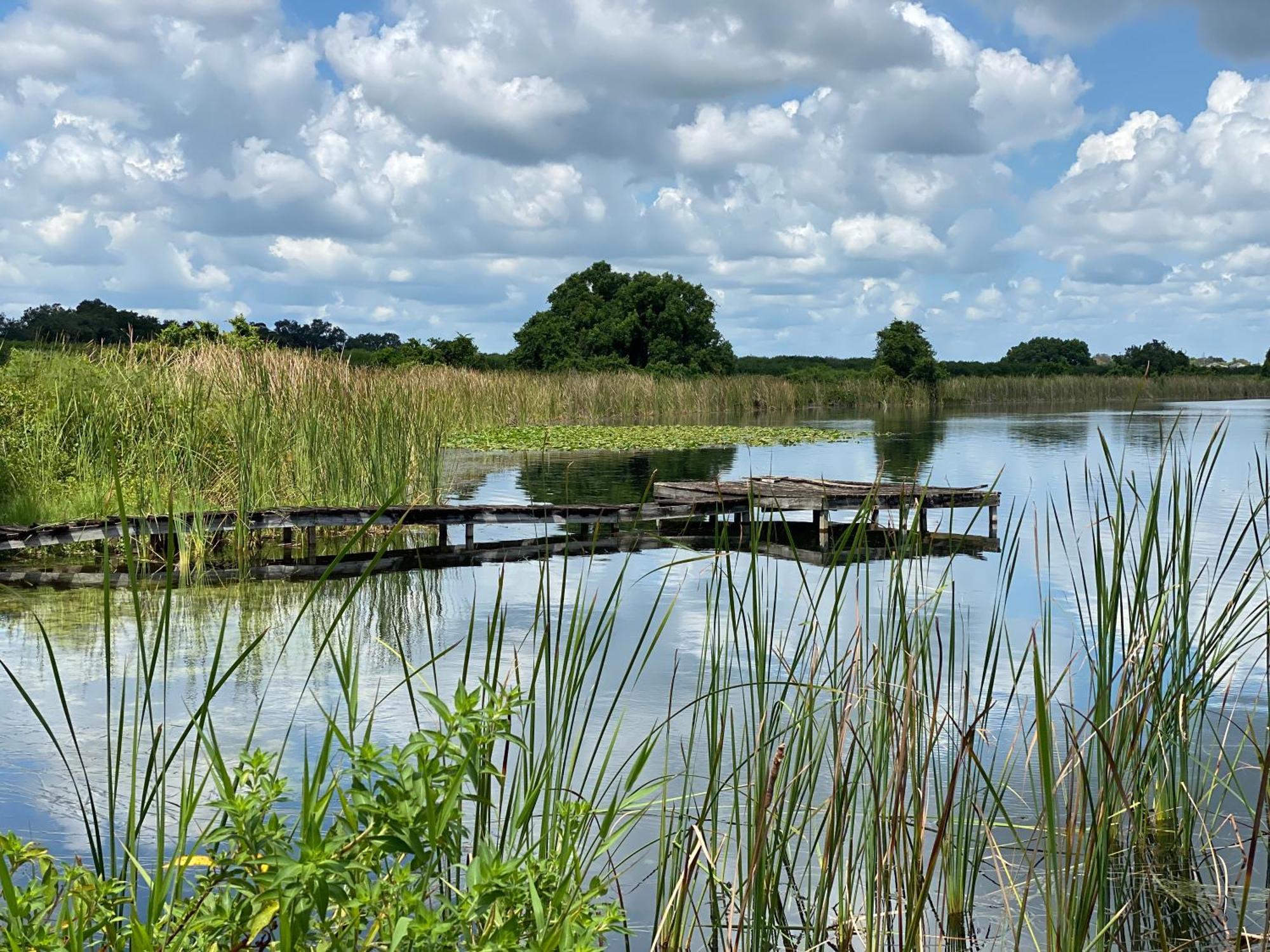 The Scandinavian Contemporary Blauw Lake Alfred エクステリア 写真